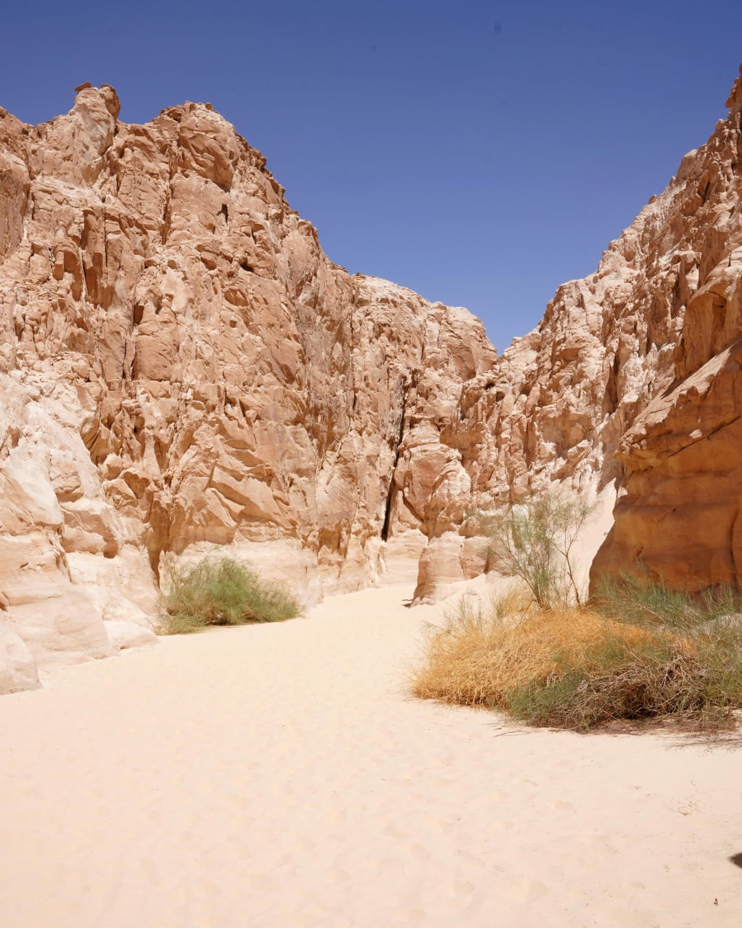 Atacama 2